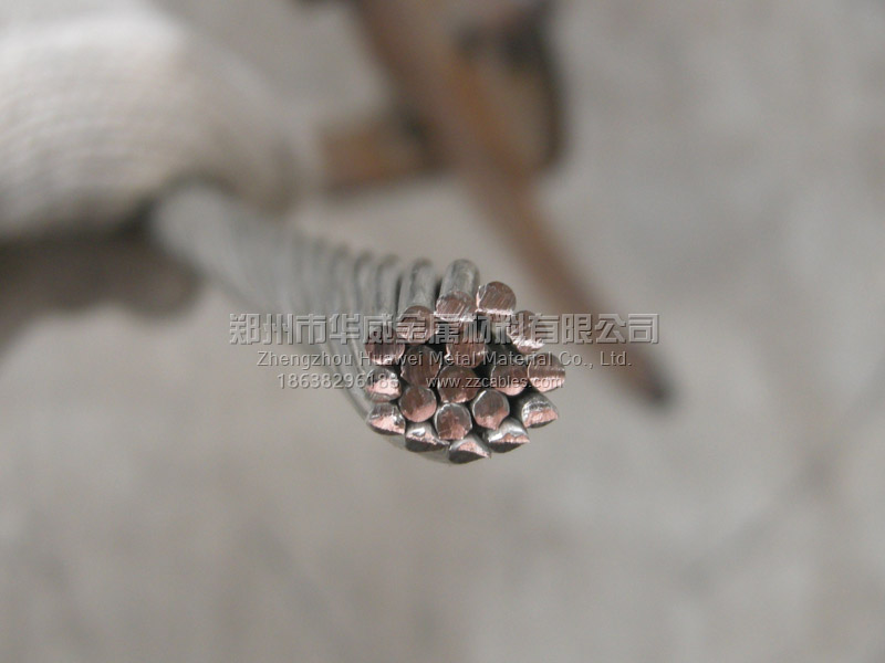 镀锡硬铜绞线4.jpg 镀锡硬铜绞线4.jpg