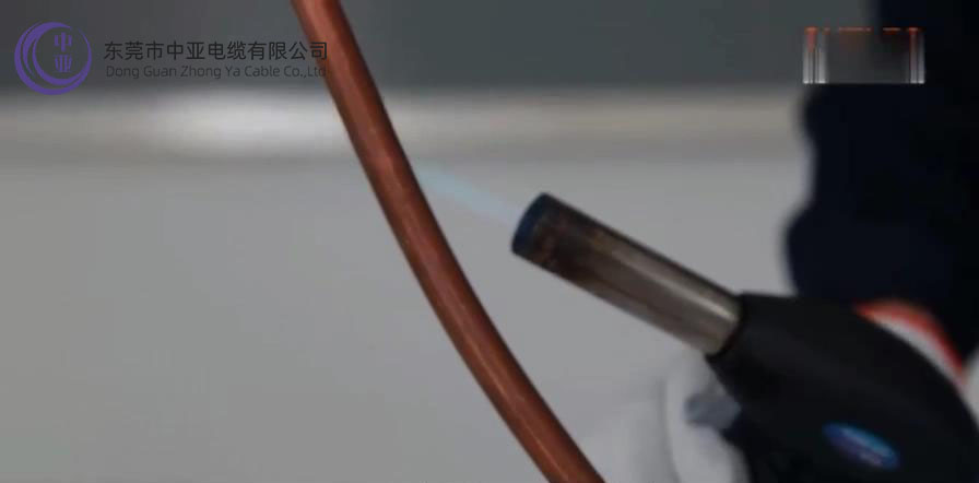 图片15.jpg 图片15.jpg